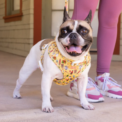 Elote Cart Harness