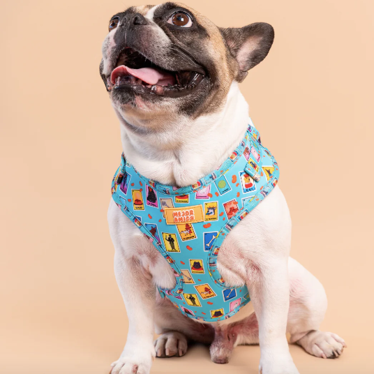 Dog Loteria Harness