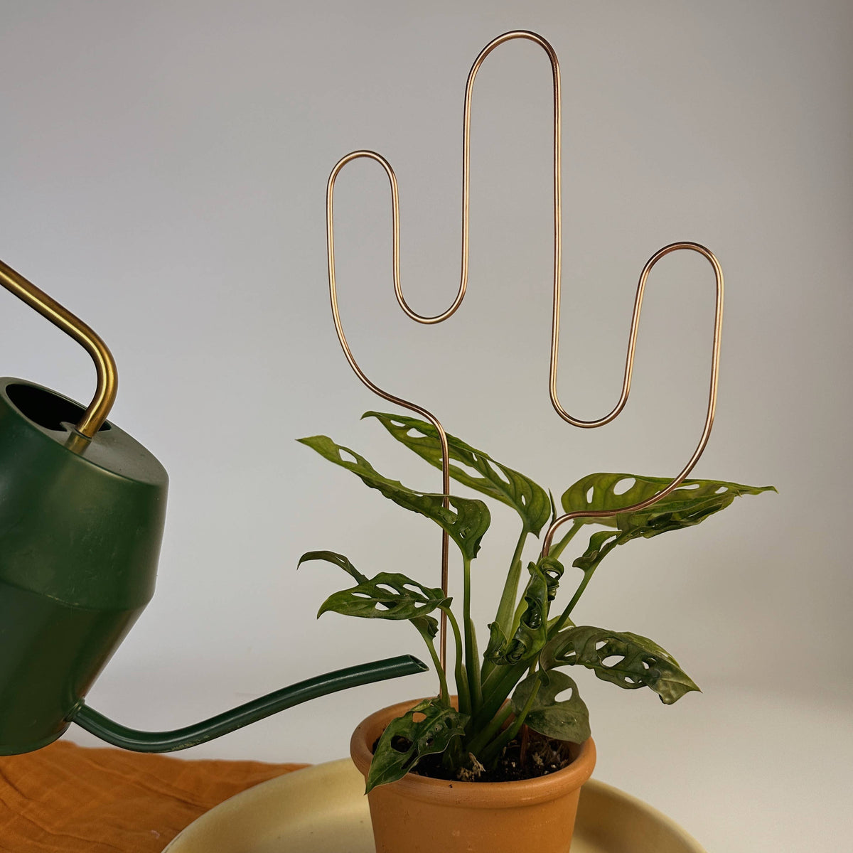 copper trellis for plants Cactus Copper Plant Trellis