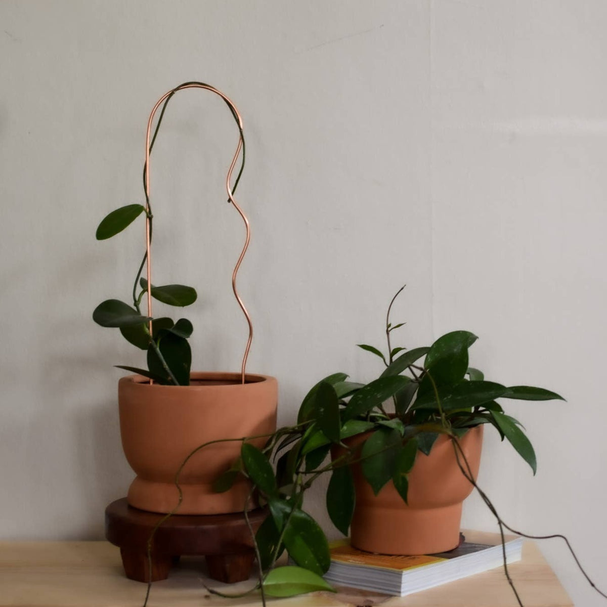 copper trellis for plants Bobby Pin Copper Plant Trellis