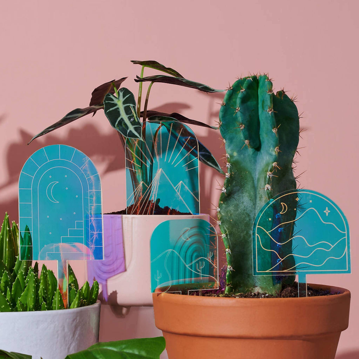 Desert Nights - Decorative Plant Stake Mirror Acrylic