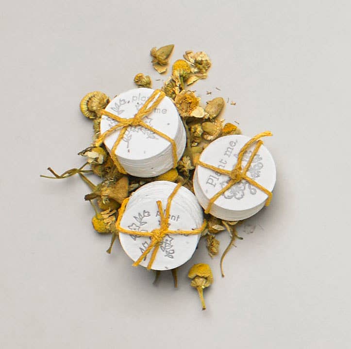 Chamomile Coins