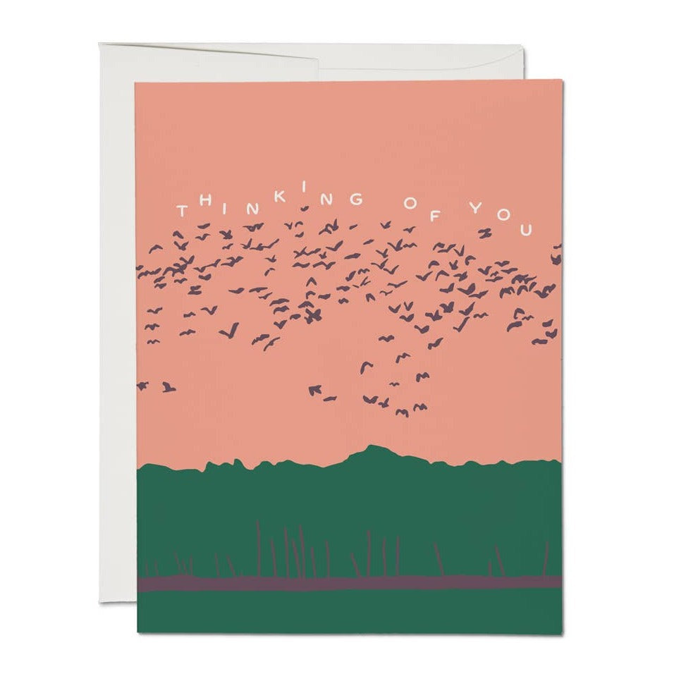 Birds in Flight Card