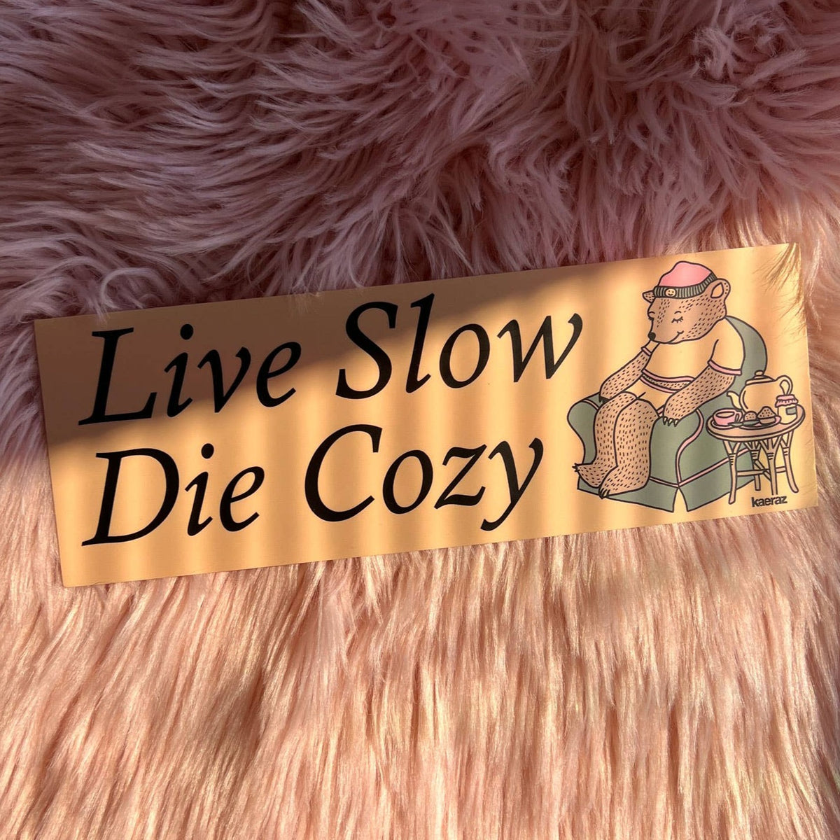 Live Slow Die Cozy Bumper Sticker