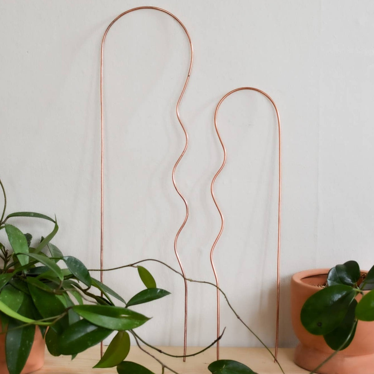 copper plant trellis Bobby Pin Copper Plant Trellis