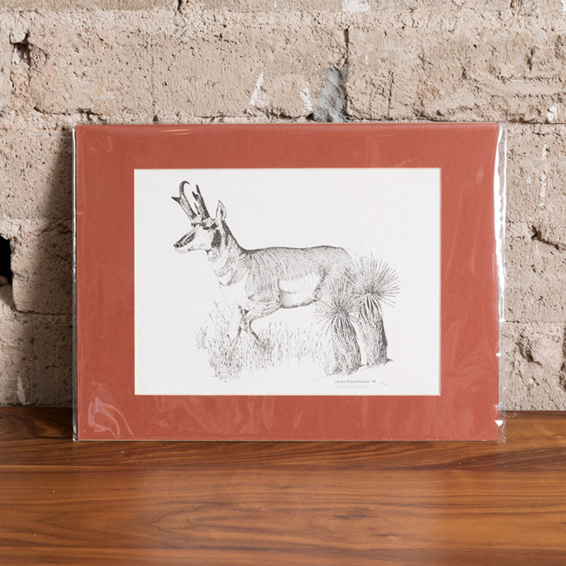 Deer Print 16" x 12"