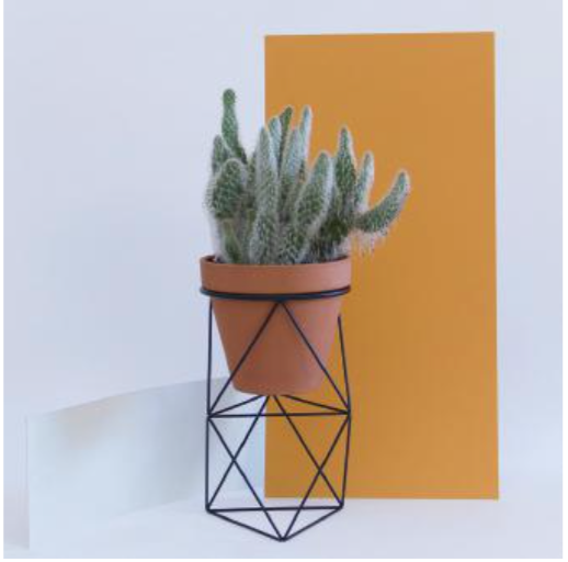 Octahedron Ring Planter - Tall