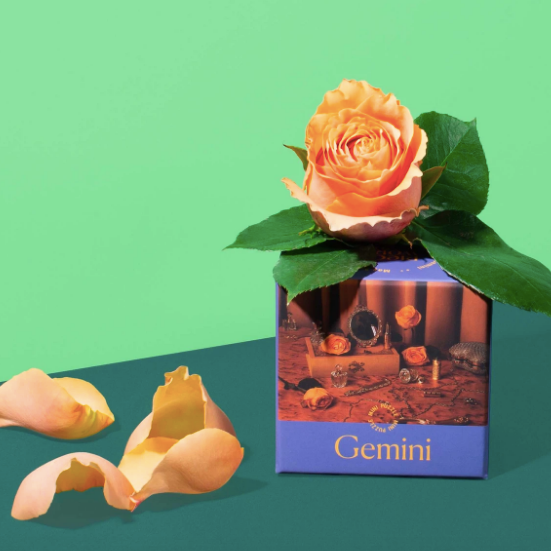 Gemini - Mini Puzzle