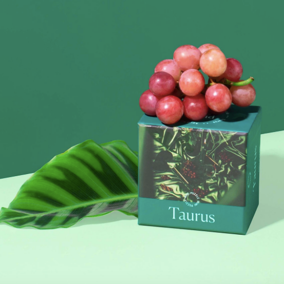 Taurus - Mini Puzzle