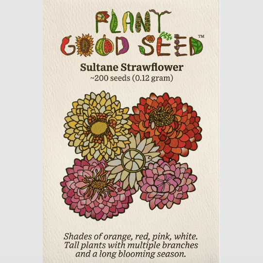 Sultane Strawflower Mix Seeds
