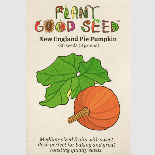 New England Pie Pumpkin Seeds