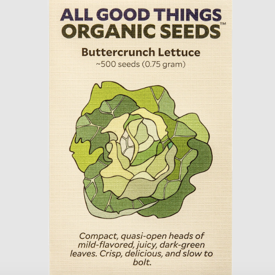 Buttercrunch Lettuce Seeds