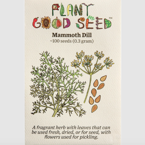 Mammoth Dill Seeds