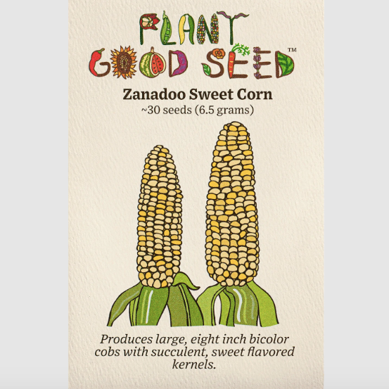 Zanadoo Sweet Corn Seeds