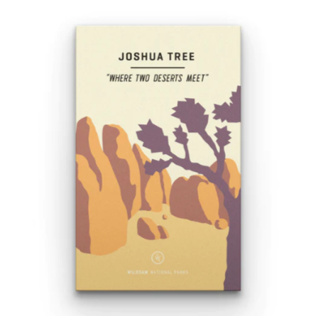 Joshua Tree National Park Field Guide